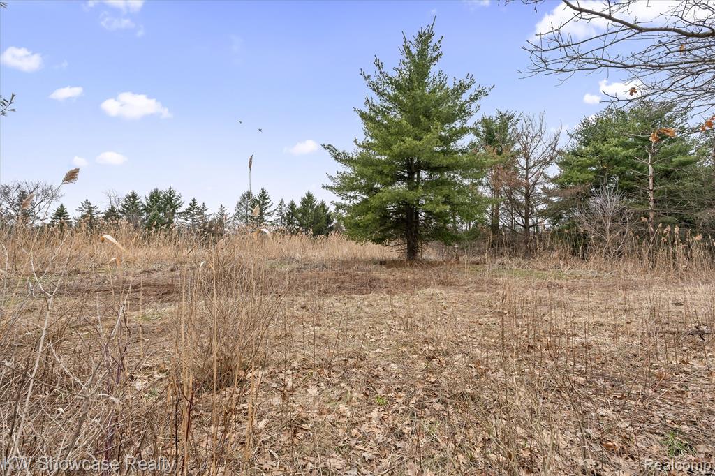 00 Hitchcock Road Property Photo 7