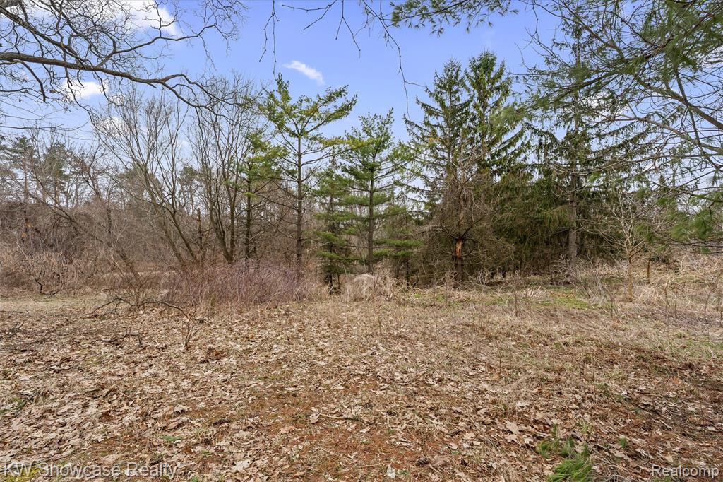 00 Hitchcock Road Property Photo 8