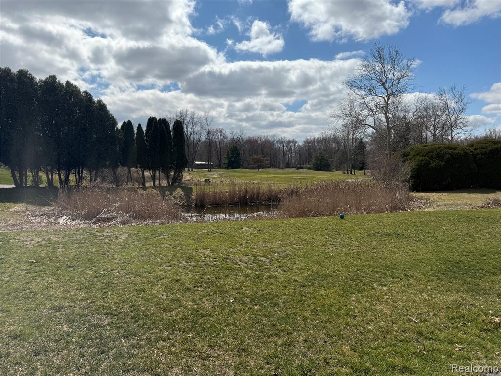 12915 Sumpter Road Property Photo 10