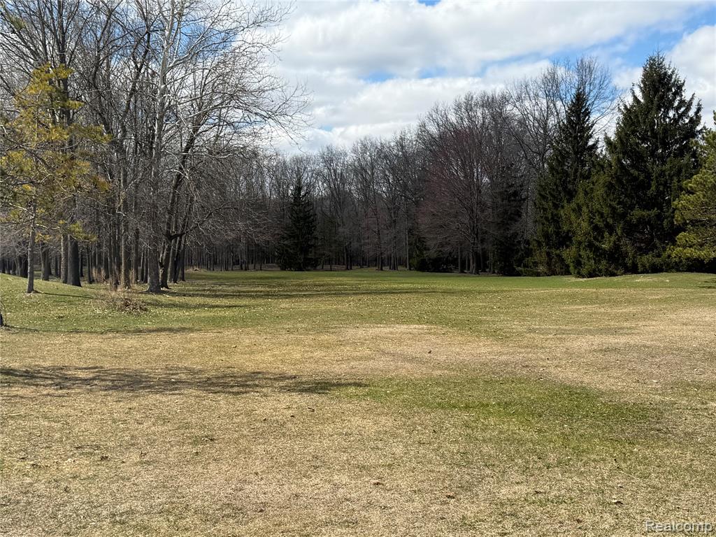 12915 Sumpter Road Property Photo 12