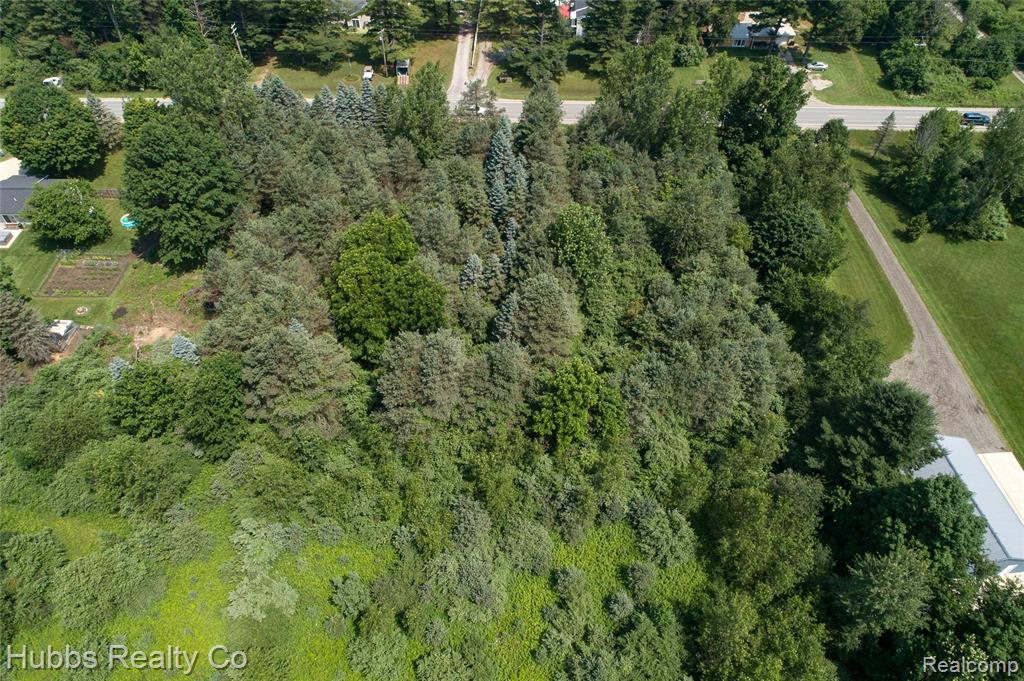 9361 Birch Run Rd Property Photo 6