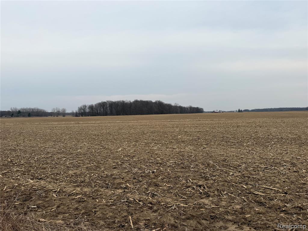 V/l Ringle Property Photo 1
