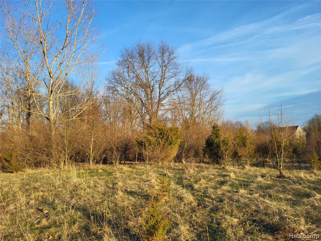 Tbd Parcel B Olivia Drive Property Photo 1