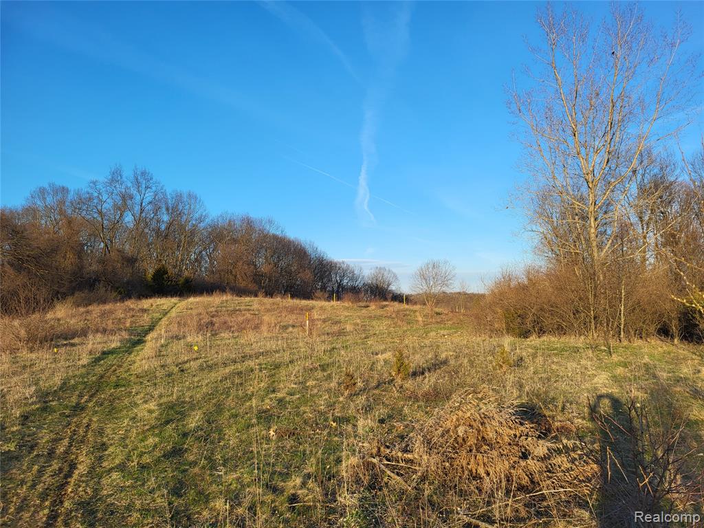 Tbd Parcel C Olivia Drive Property Photo 1