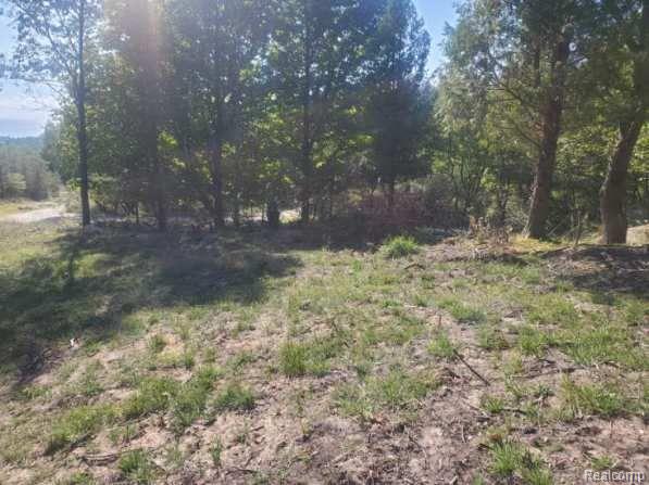 Parcel A Lake Bluff Drive Property Photo 7
