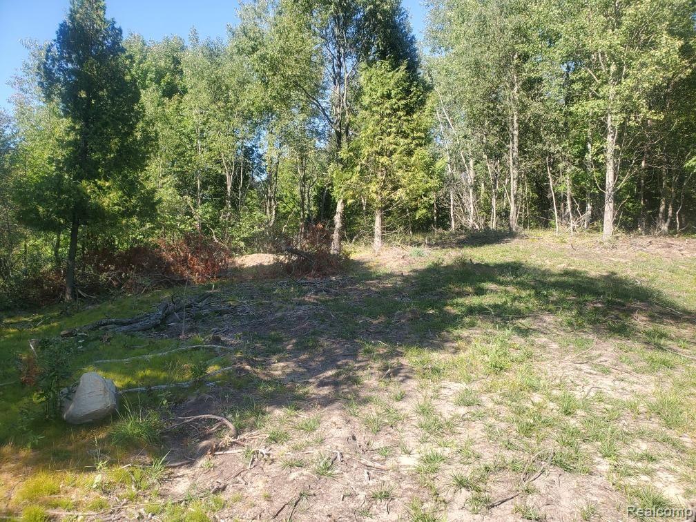 Parcel A Lake Bluff Drive Property Photo 9