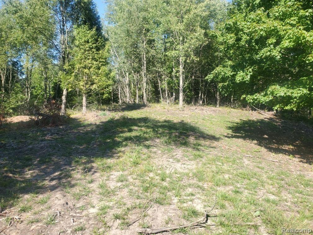 Parcel A Lake Bluff Drive Property Photo 10