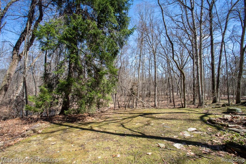 30875 Franklin Road Property Photo 77