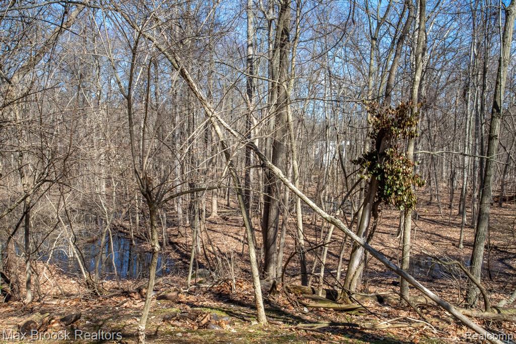 30875 Franklin Road Property Photo 80