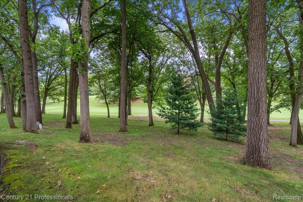 5423 Bristol Parke Drive Property Photo 62