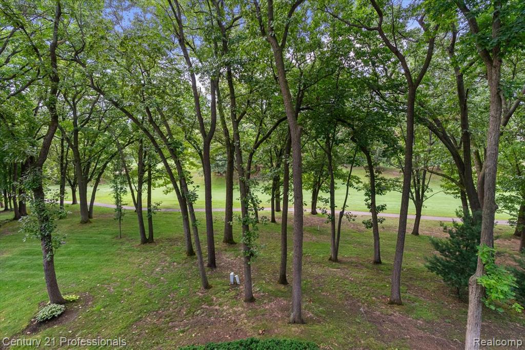 5423 Bristol Parke Drive Property Photo 66