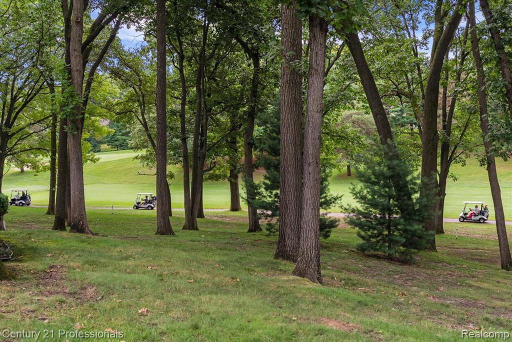 5423 Bristol Parke Drive Property Photo 73