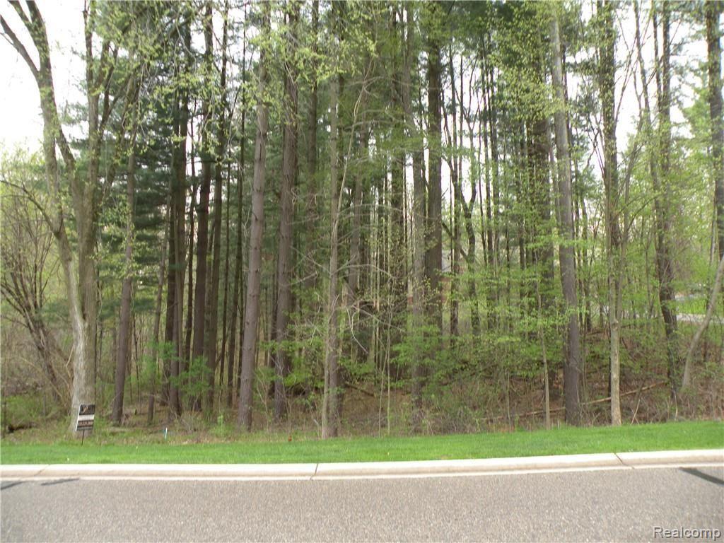 Lot #33 Alta Vi Alta Vista Drive Property Photo 7