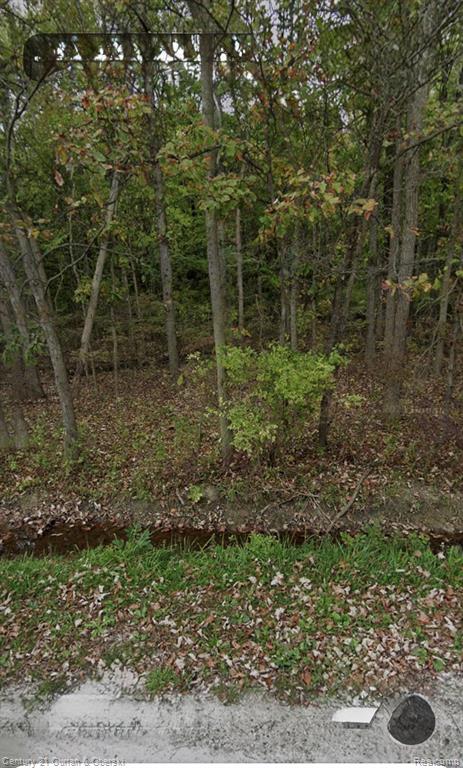 24661 28 Mile Road Property Photo 1