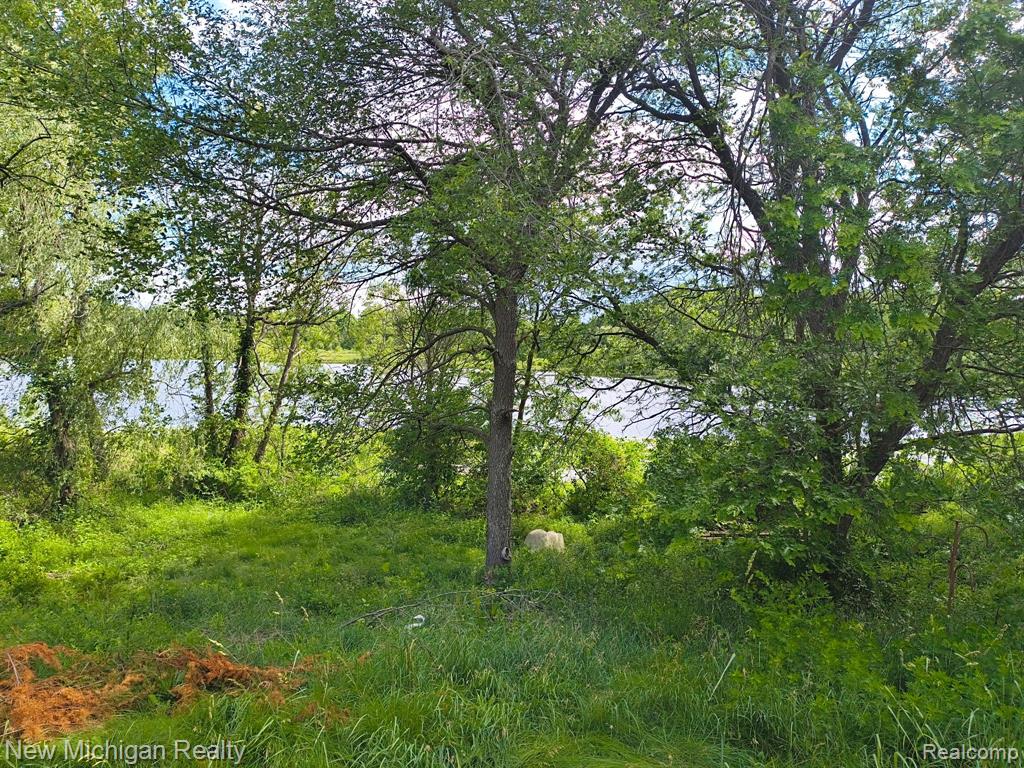 17221 W Us Highway 223 Property Photo 5