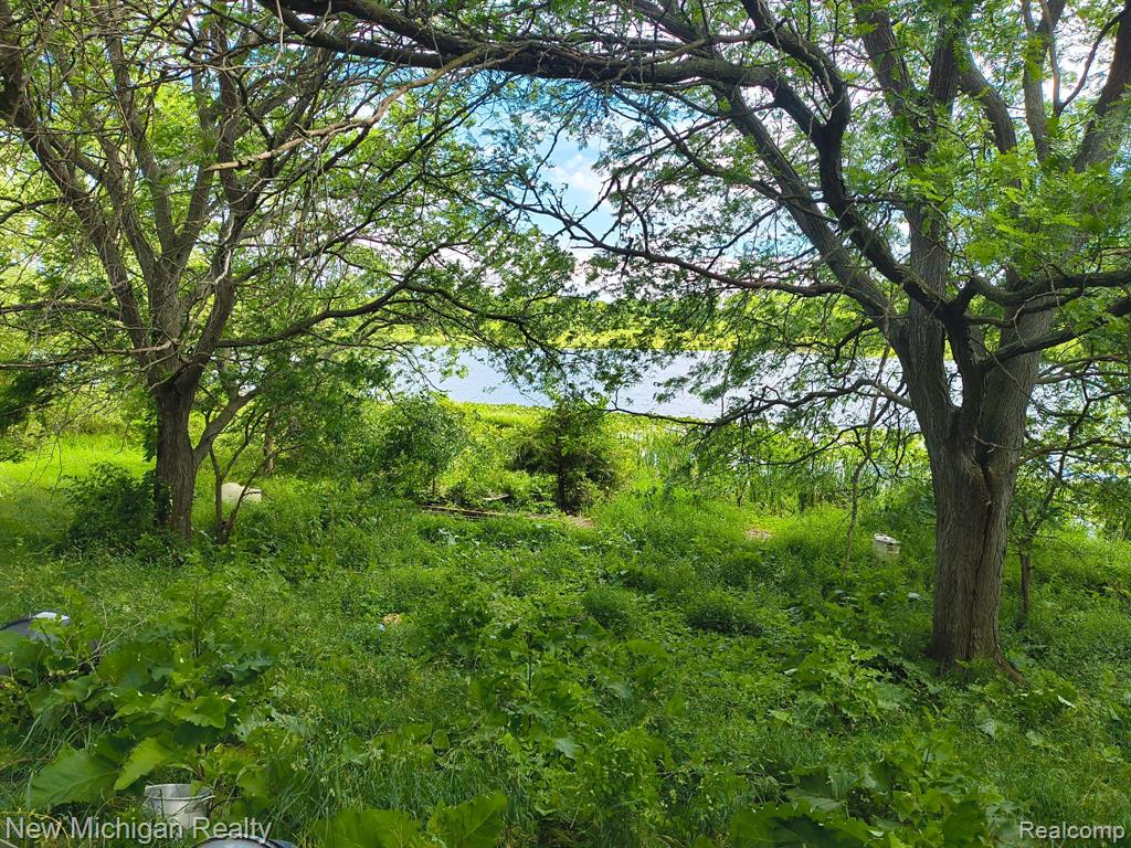 17221 W Us Highway 223 Property Photo 8