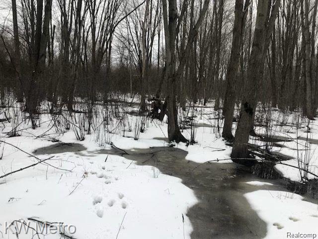 1135 N Baldwin Road Property Photo 6