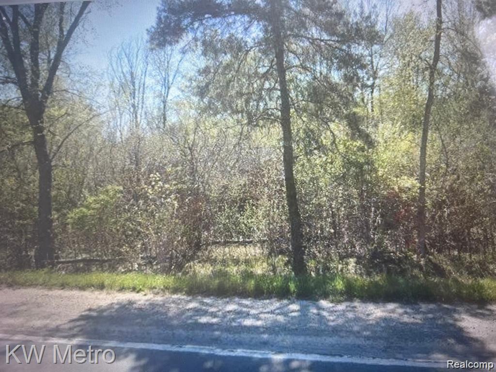 1135 N Baldwin Road Property Photo 12