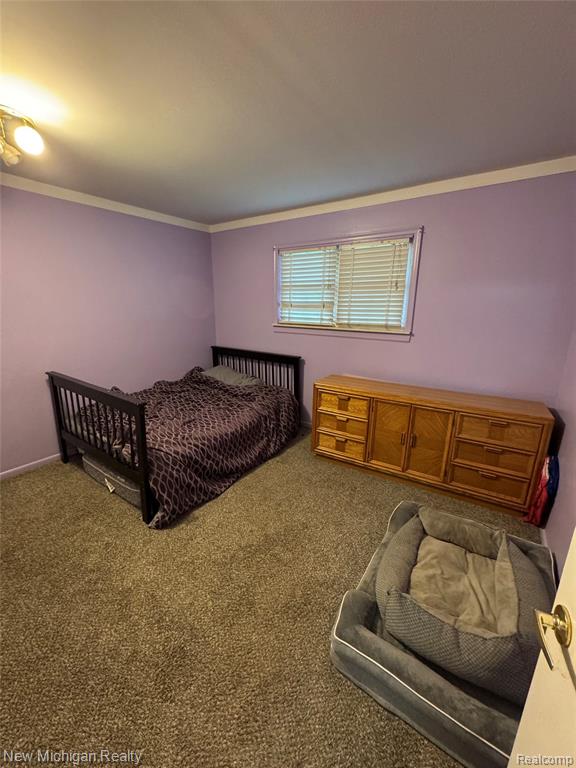 31090 Mc Namee Property Photo 12