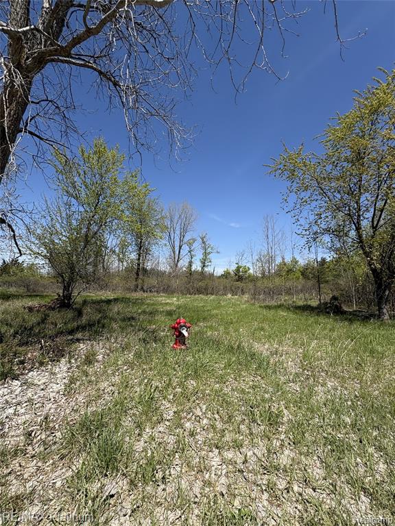 Parcel 6 Fisher Road Property Photo 1