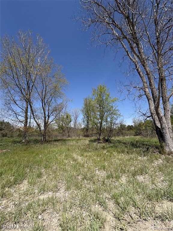 Parcel 6 Fisher Road Property Photo 8