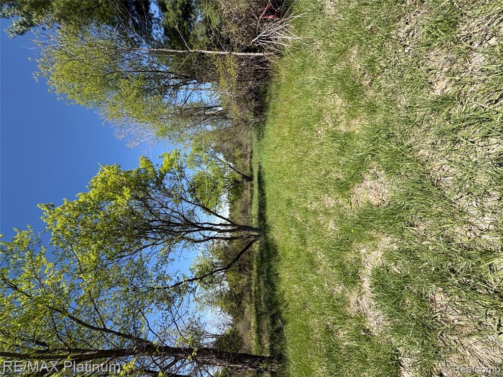Parcel 6 Fisher Road Property Photo 9