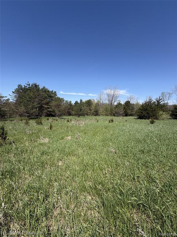 Parcel 2 Pineway Trail Property Photo 4