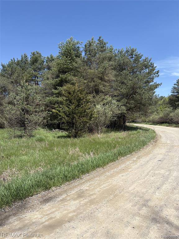 Parcel 2 Pineway Trail Property Photo 5