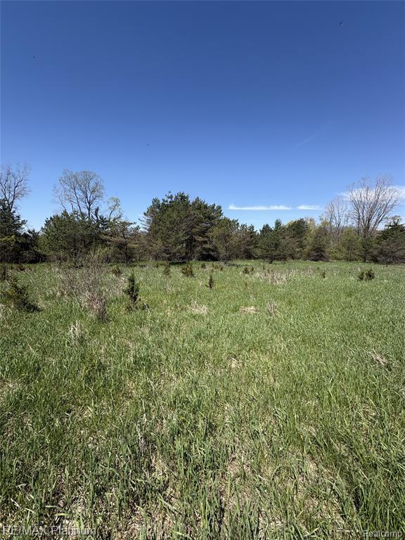Parcel 2 Pineway Trail Property Photo 6