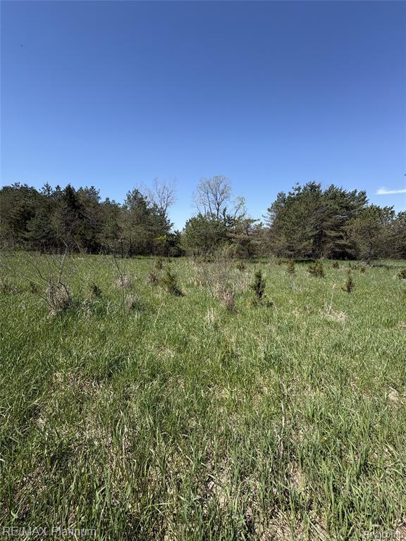 Parcel 2 Pineway Trail Property Photo 7