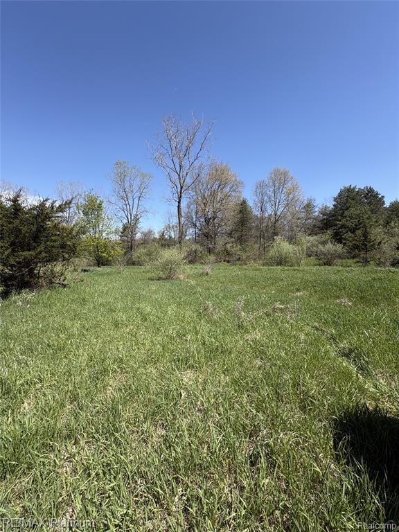 Parcel 2 Pineway Trail Property Photo 8