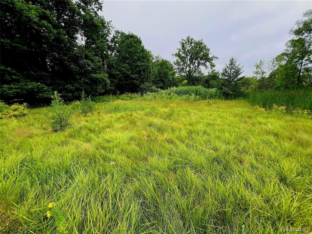 Lot 94 Hiller Road Property Photo 4