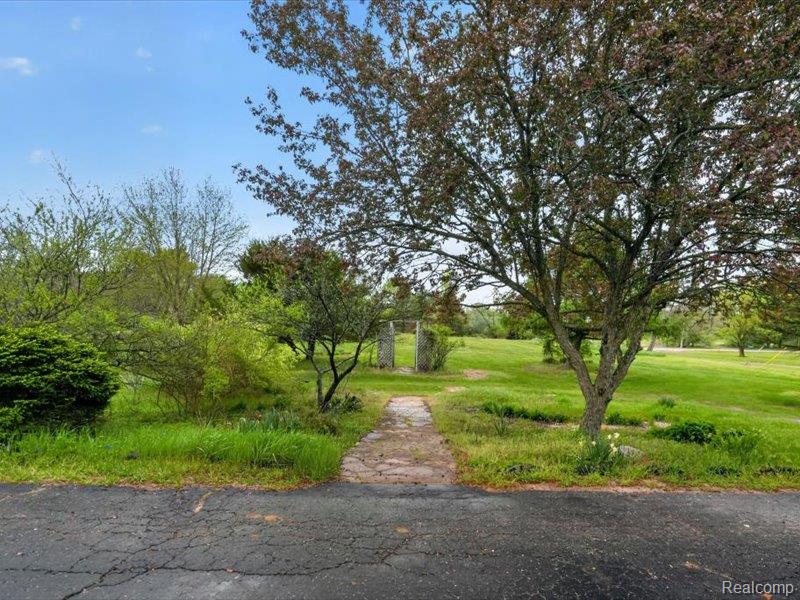 5081 Vines Road Property Photo 66