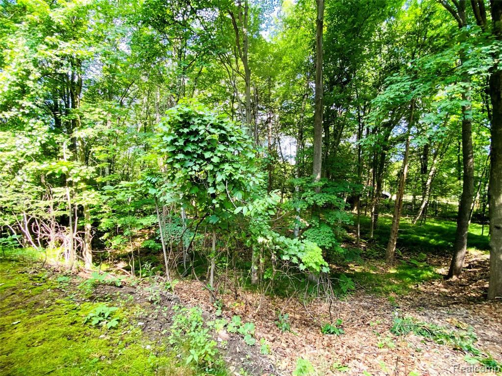 1576 Pine Knoll Lane Property Photo 19