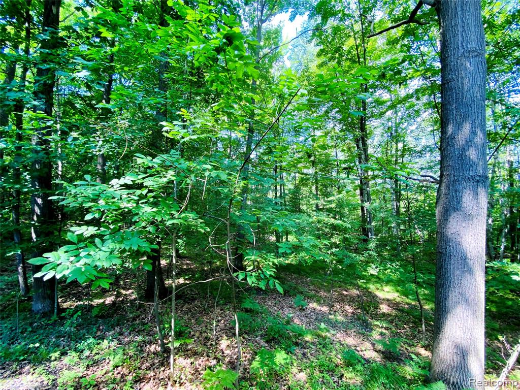 1576 Pine Knoll Lane Property Photo 20