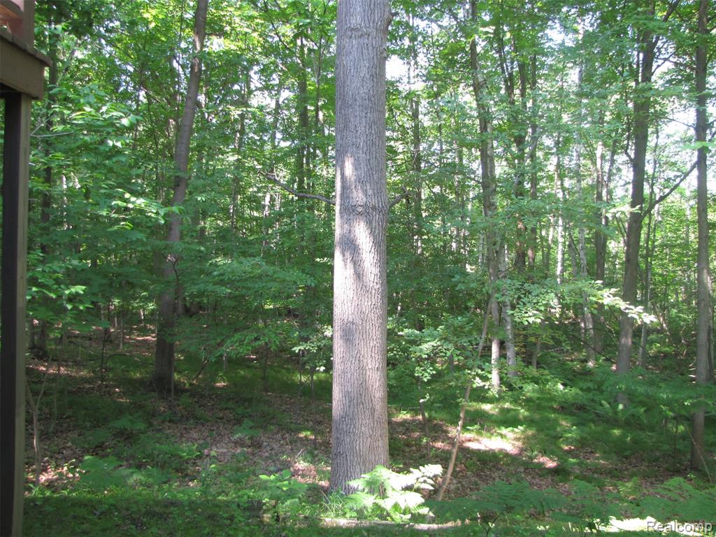 1576 Pine Knoll Lane Property Photo 26