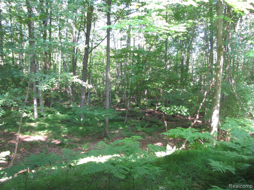 1576 Pine Knoll Lane Property Photo 27