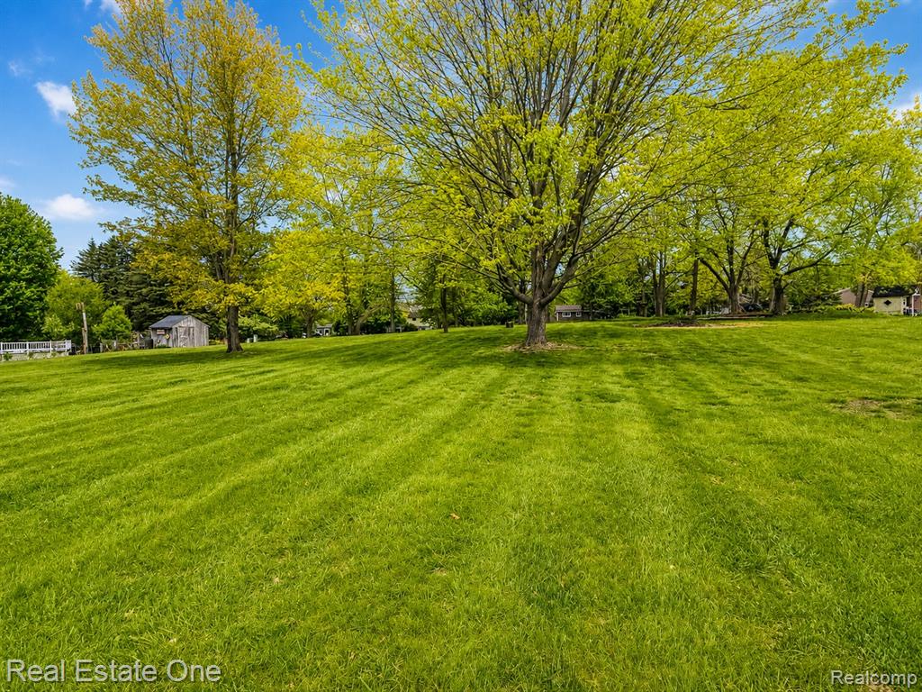2553 Bullard Road Property Photo 49