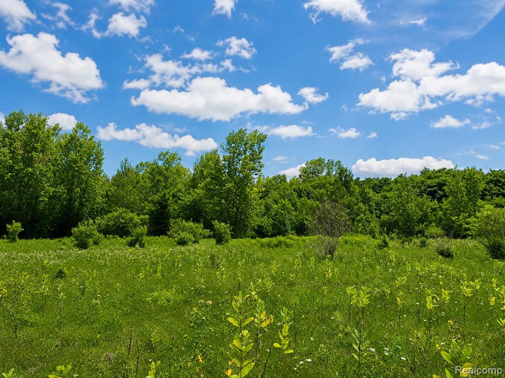 115 White Tail Drive Property Photo 1