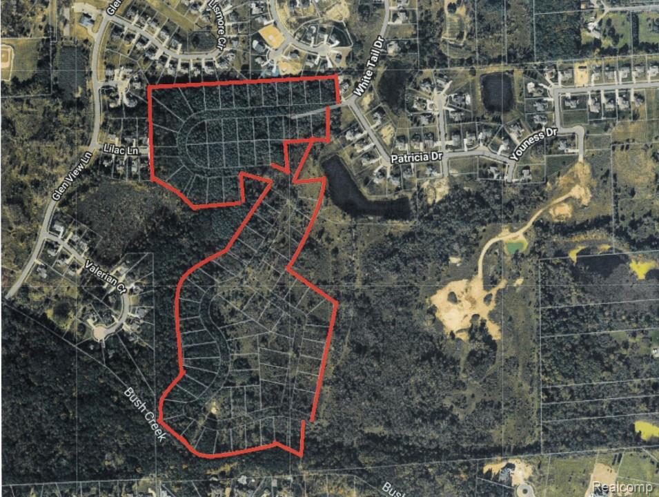 115 White Tail Drive Property Photo 3