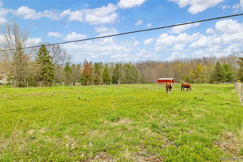 4425 Bethuy Road Property Photo 6