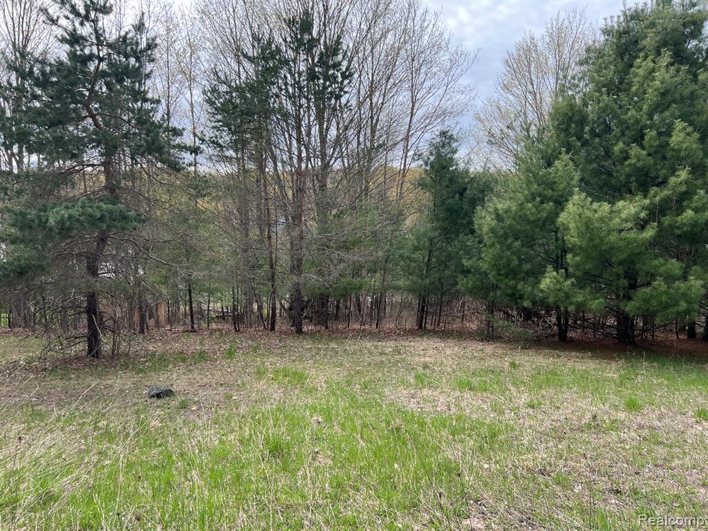 2903 Rushton Road Property Photo 7