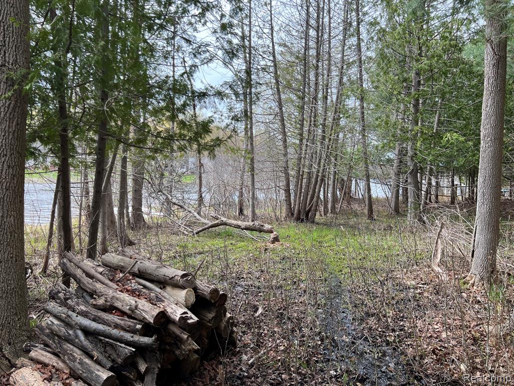 2903 Rushton Road Property Photo 14
