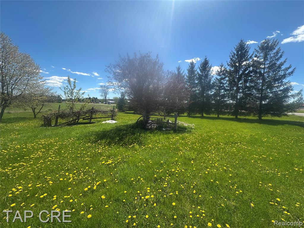 2273 S M 65 Highway Property Photo 6