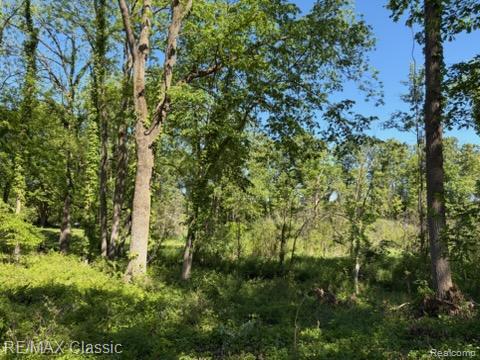 0000 Old Mill Road Property Photo 1