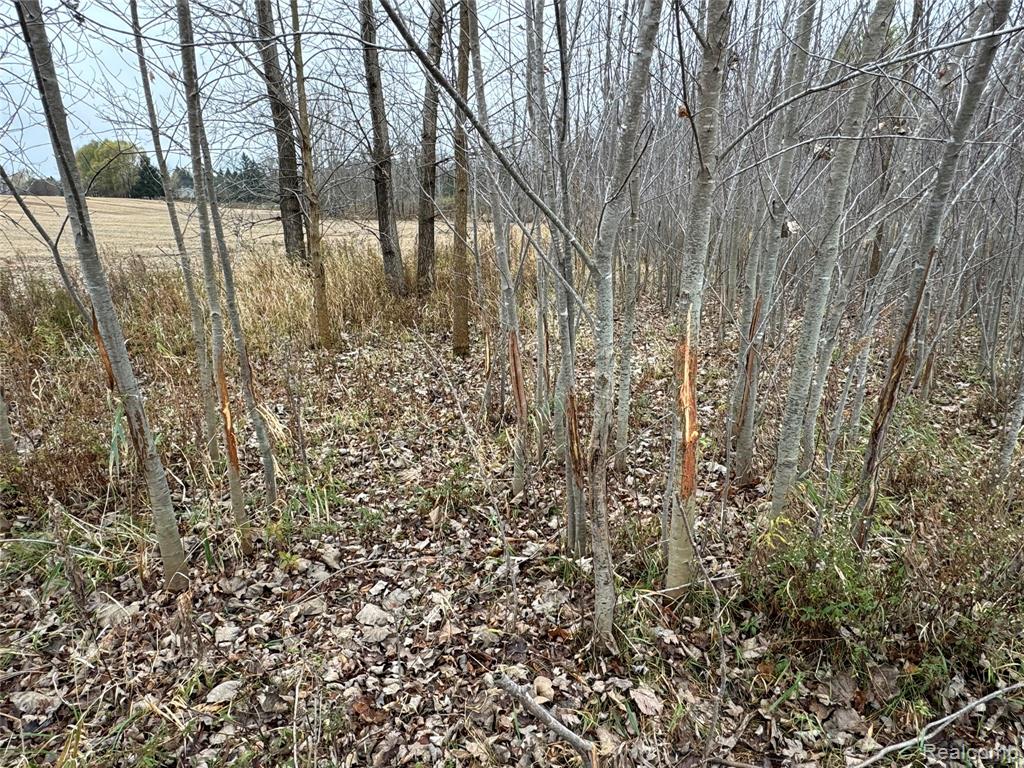 6018 Lahring Road Property Photo 6