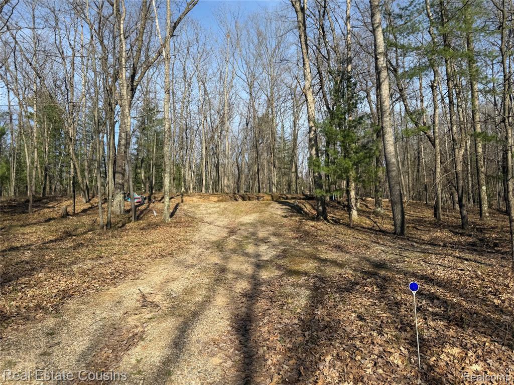 4701 Lake Road Property Photo 5