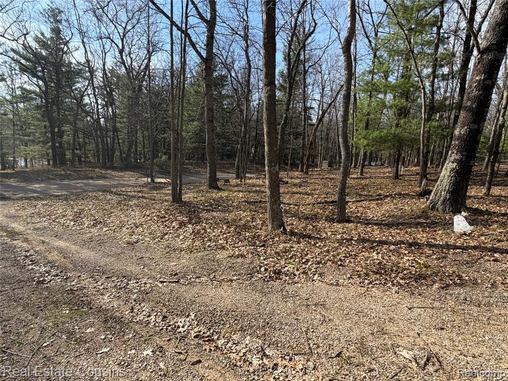 4701 Lake Road Property Photo 6