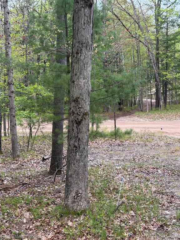 4701 Lake Road Property Photo 23