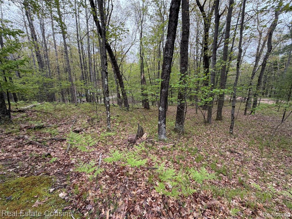 4701 Lake Road Property Photo 25